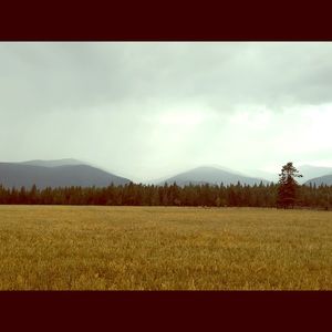 Meet your Posher, Aimee